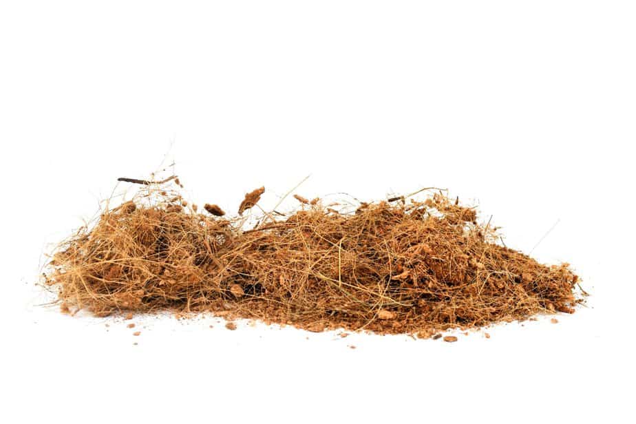 long and stringy coco coir or coco fibers to be added to potting mix or potting soil as an amendment.